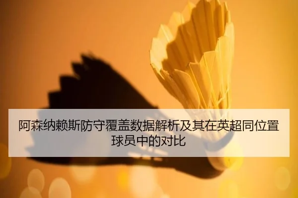 阿森纳赖斯防守覆盖数据解析及其在英超同位置球员中的对比