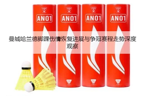 曼城哈兰德脚踝伤情恢复进展与争冠赛程走势深度观察