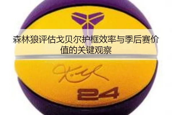 森林狼评估戈贝尔护框效率与季后赛价值的关键观察