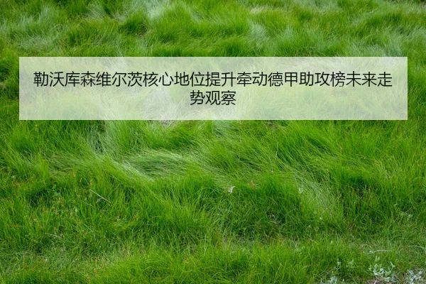 勒沃库森维尔茨核心地位提升牵动德甲助攻榜未来走势观察
