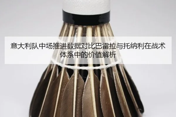 意大利队中场推进数据对比巴雷拉与托纳利在战术体系中的价值解析