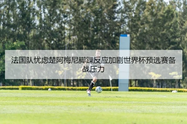 法国队忧虑楚阿梅尼脚踝反应加剧世界杯预选赛备战压力